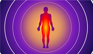 科學(xué)家證實(shí)：體溫高能提升免疫力