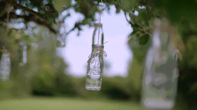 d00505b08fc24c6a8b4d2376204e0670